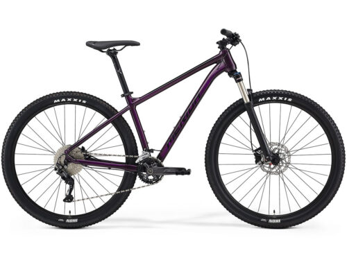 Merida Big Nine 300 (2021)